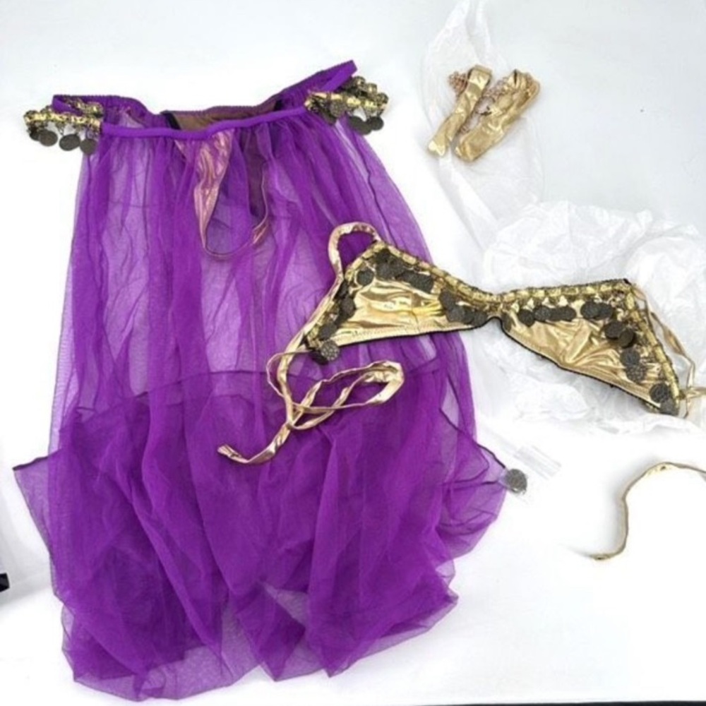 Dreamgirl Harem Slave Costume OS Fits Most - Picture 2 of 5